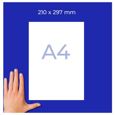 Nombre 1 en écriture bleu foncé sur fond blanc.