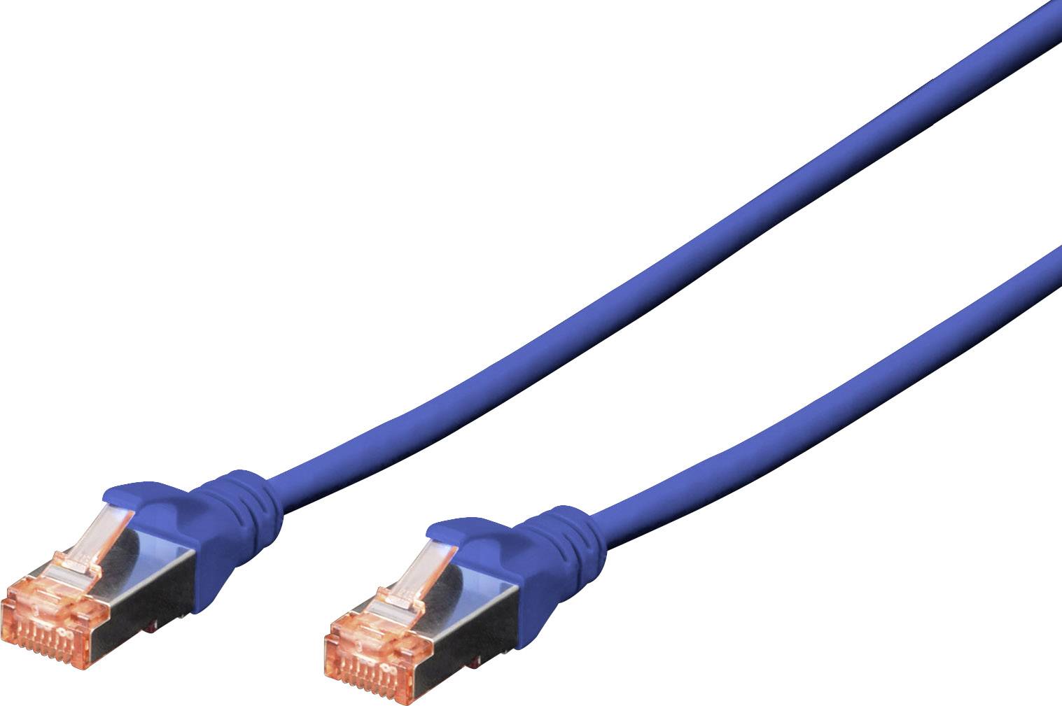 Un câble Ethernet bleu avec deux connecteurs, utilisé pour les connexions réseau.