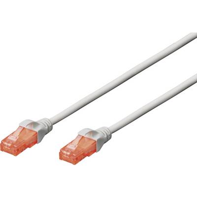 Deux câbles Ethernet orange-transparents avec des connecteurs blancs sur un fond blanc.