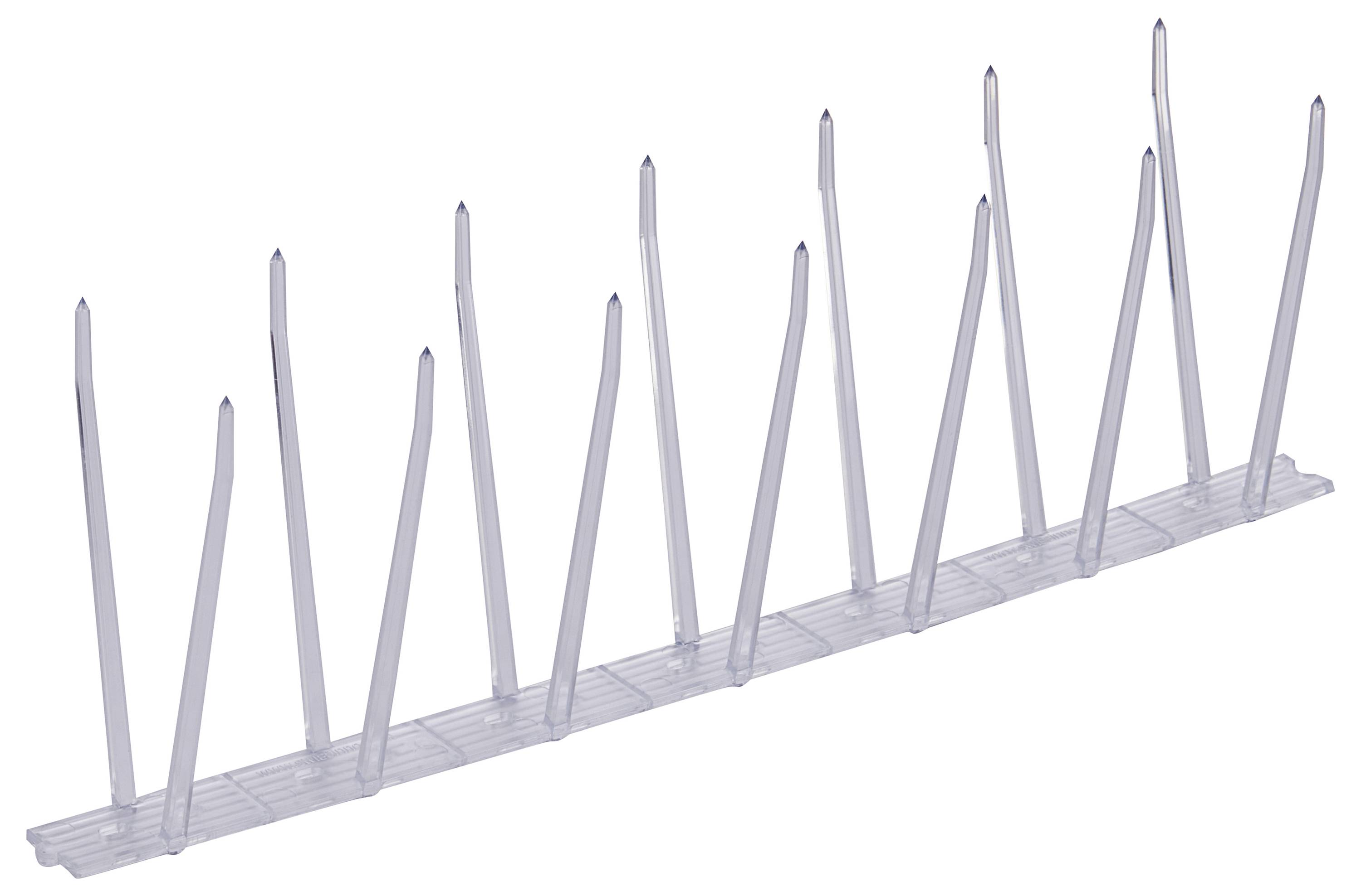 Une bande de pointes en plastique transparent conçue pour dissuader les oiseaux de se poser, composée de plusieurs pointes hautes et pointues sur une base plate.