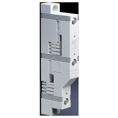 Un disjoncteur électrique dans un boîtier neutre, monté verticalement, avec des interrupteurs et des connexions visibles.