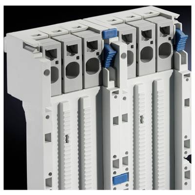 Un coffret électrique blanc avec plusieurs connexions et leviers bleus, monté sur un rail DIN.