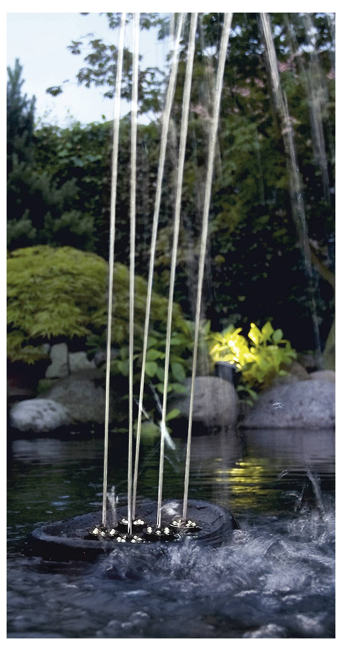 Un bassin de jardin avec un élément de fontaine, des jets d'eau arqués au-dessus de rochers, entouré de verdure luxuriante et éclairé par un éclairage tamisé.