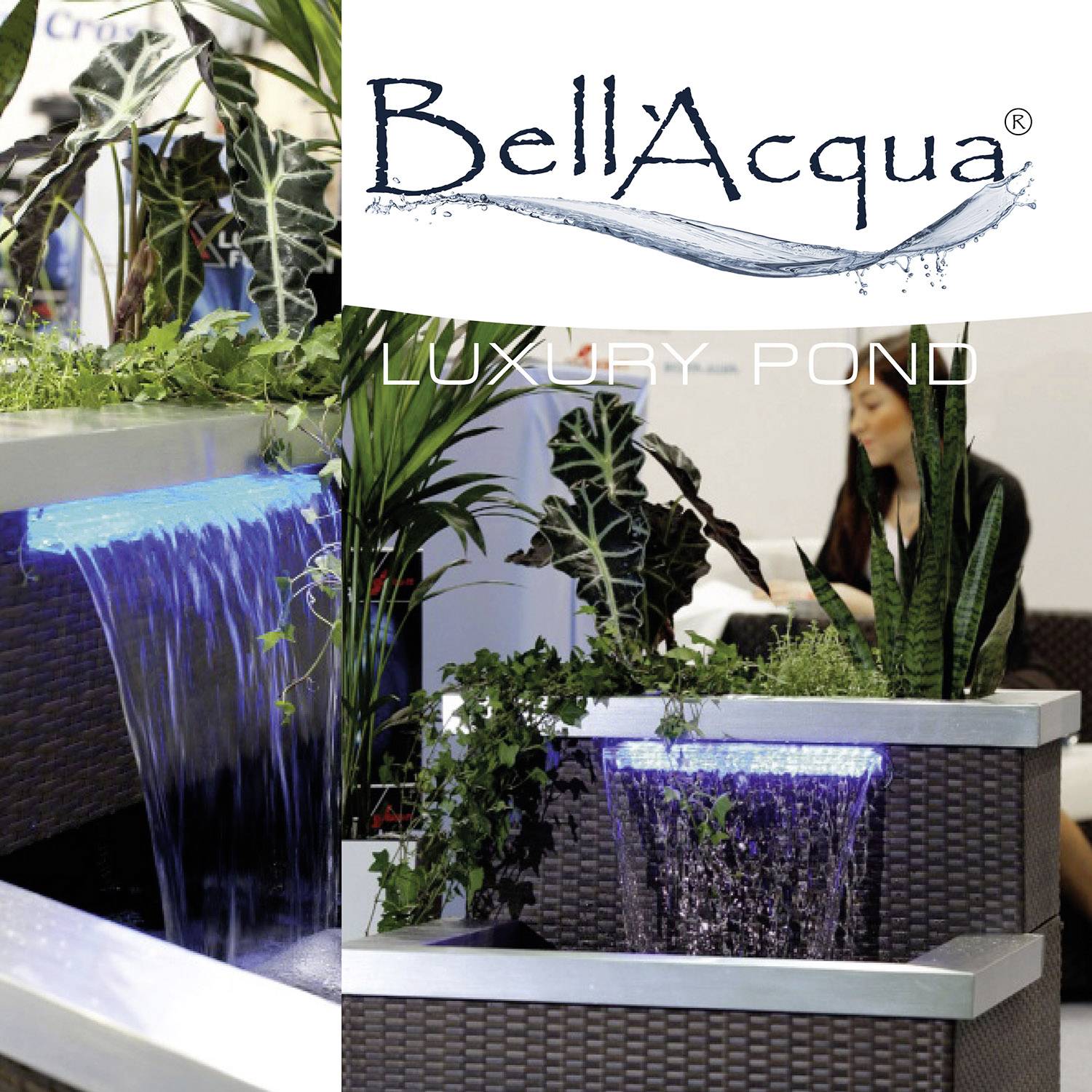 Un bassin intérieur élégant avec cascade dans un espace moderne, entouré de plantes. Le nom de marque 'BellAcqua' est visible.