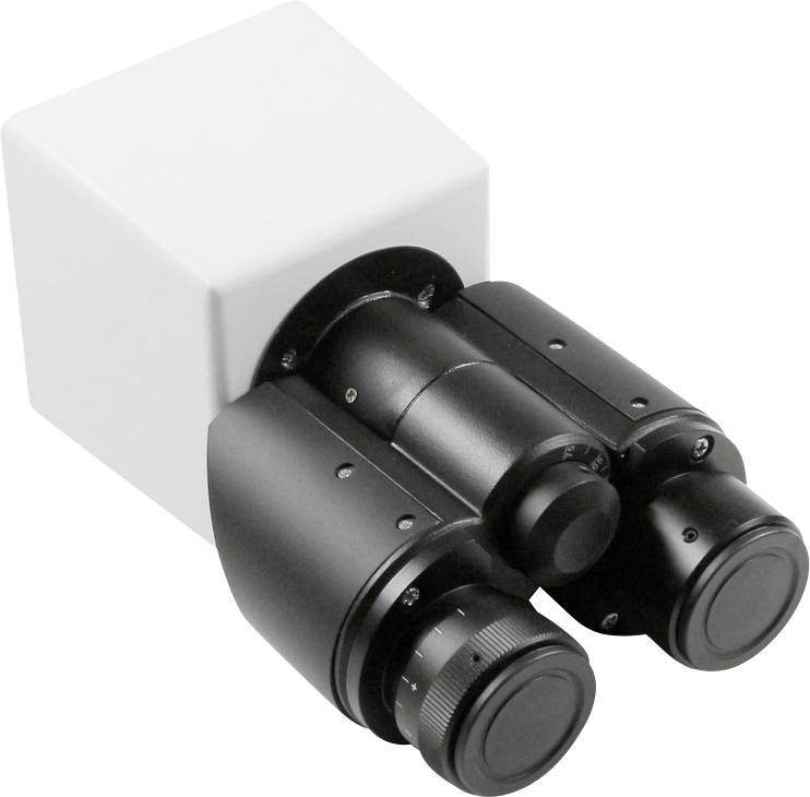 Tube trinoculaire Siedentopf pour Finity Kern OBB-A2502
