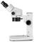 Un microscope blanc à deux oculaires est placé sur le côté. Il convient parfaitement pour des grossissements lors d'études scientifiques.