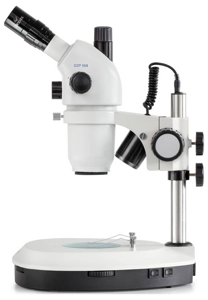 Un microscope stéréoscopique blanc monté sur un socle stable, doté de deux oculaires et d'un bras ajustable pour des observations précises.
