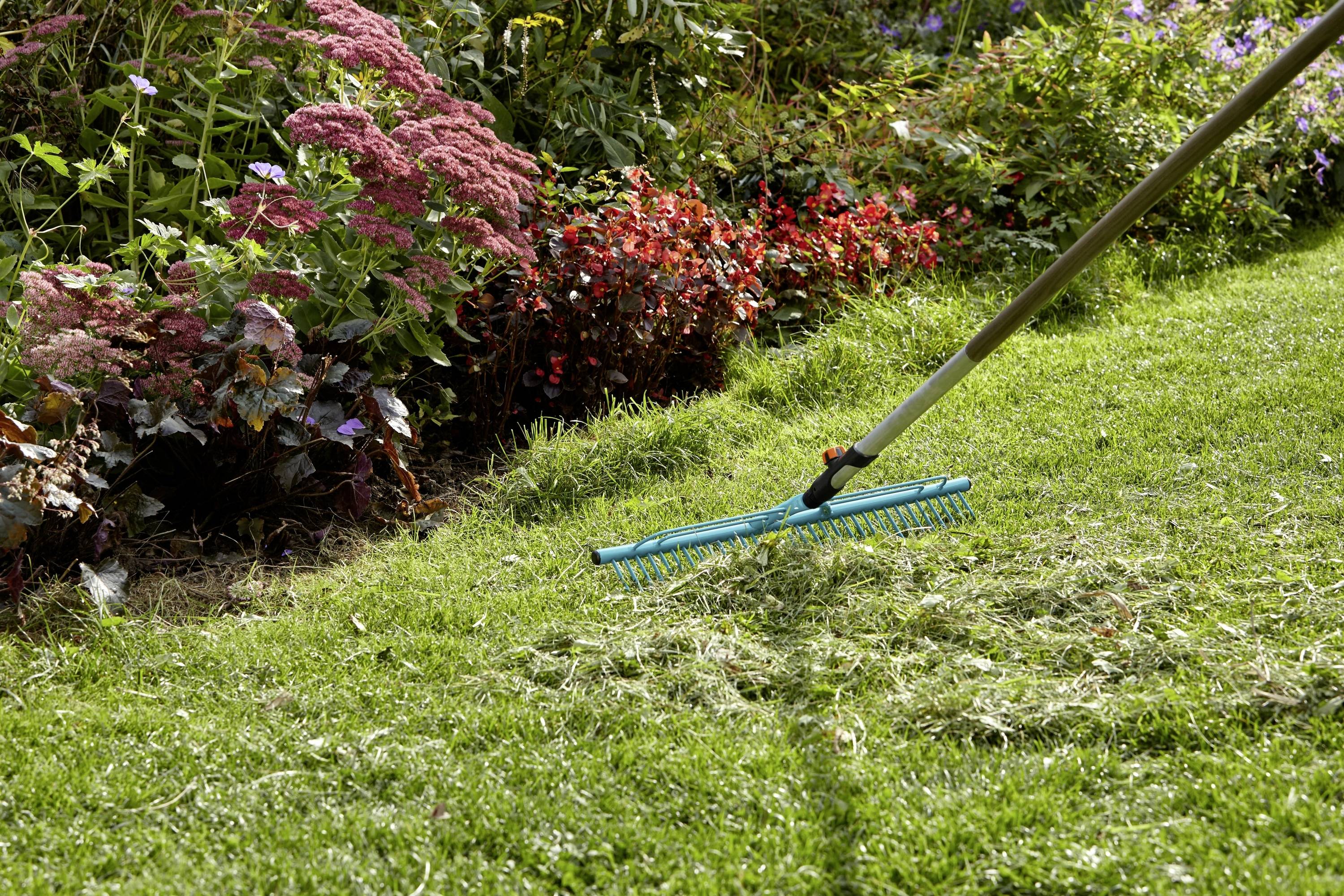Un râteau repose sur de l'herbe fraîchement tondue à côté d'un parterre de plantes en fleurs.