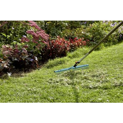 Un râteau repose sur de l'herbe fraîchement tondue à côté d'un parterre de plantes en fleurs.