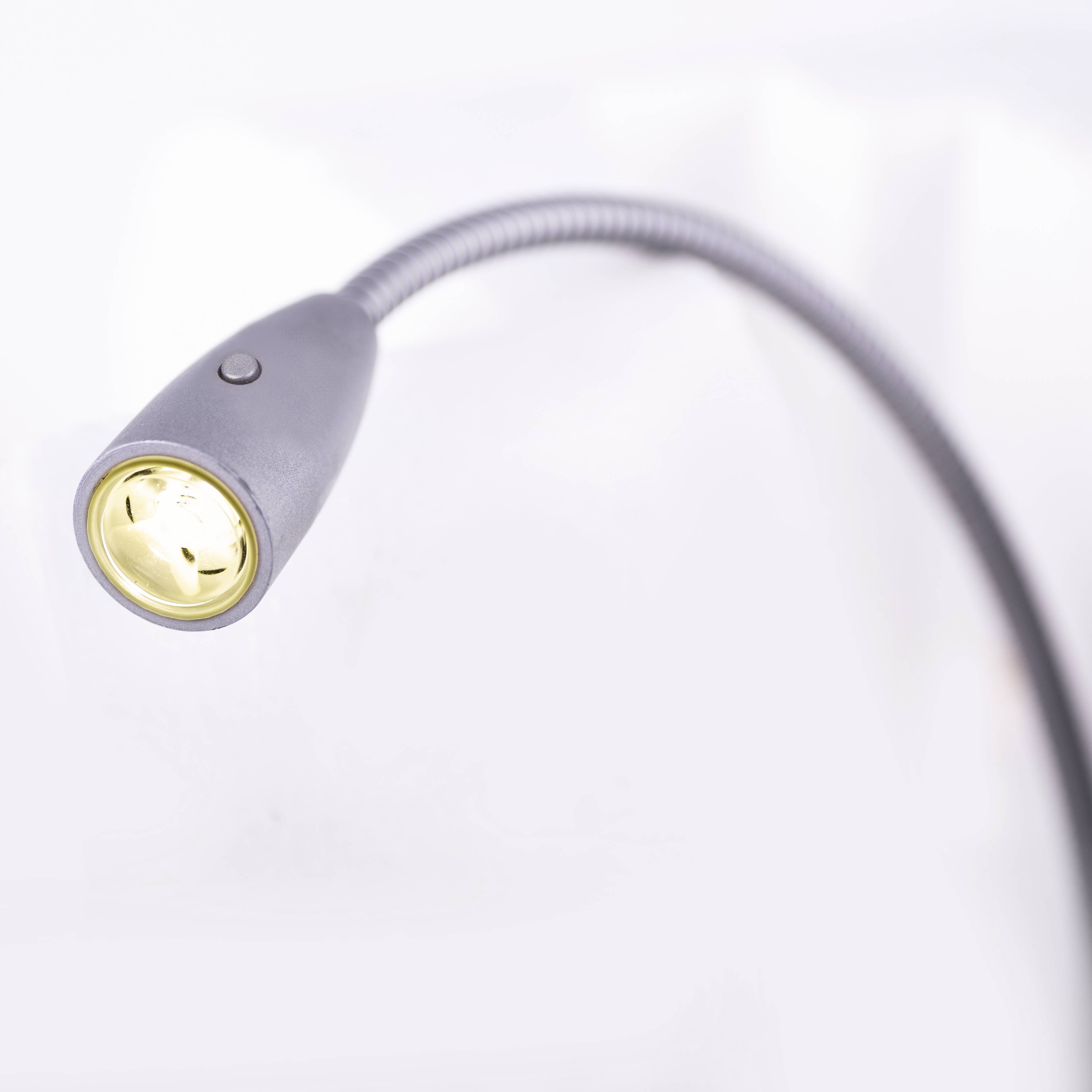 Tête de lampe flexible avec un éclairage LED rond et lumineux, montée sur un bras flexible, sur fond blanc.
