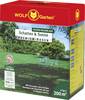 WOLF-Garten 3820050 Semences de gazon 1 pc(s)