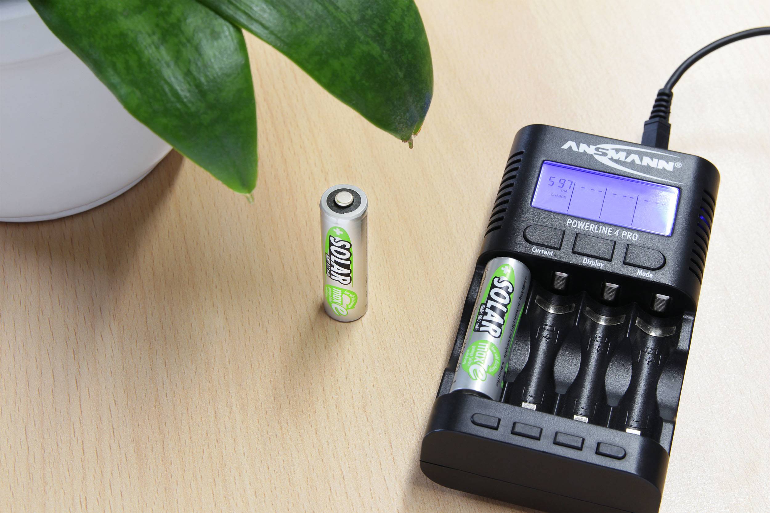 Un chargeur de batterie avec quatre emplacements vides est posé sur une table à côté d'une plante. Une seule pile AA se trouve à proximité.