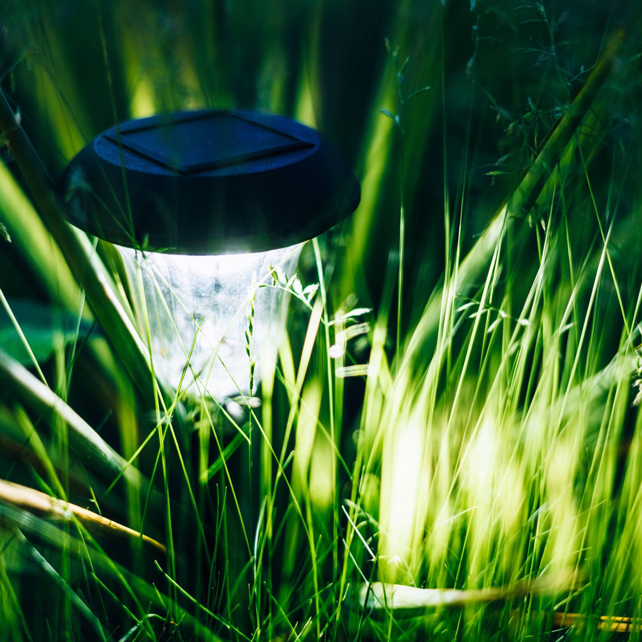 Une lampe de jardin brille entre de longues herbes dans l'obscurité, créant un jeu de lumière atmosphérique.