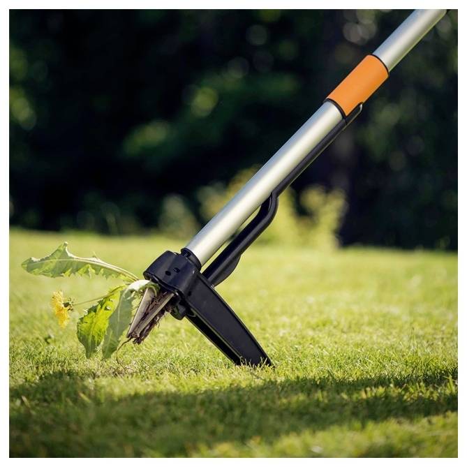 Un outil de jardinage saisit une mauvaise herbe sur une pelouse herbeuse, démontrant l'efficacité de l'outil dans l'entretien du jardin.