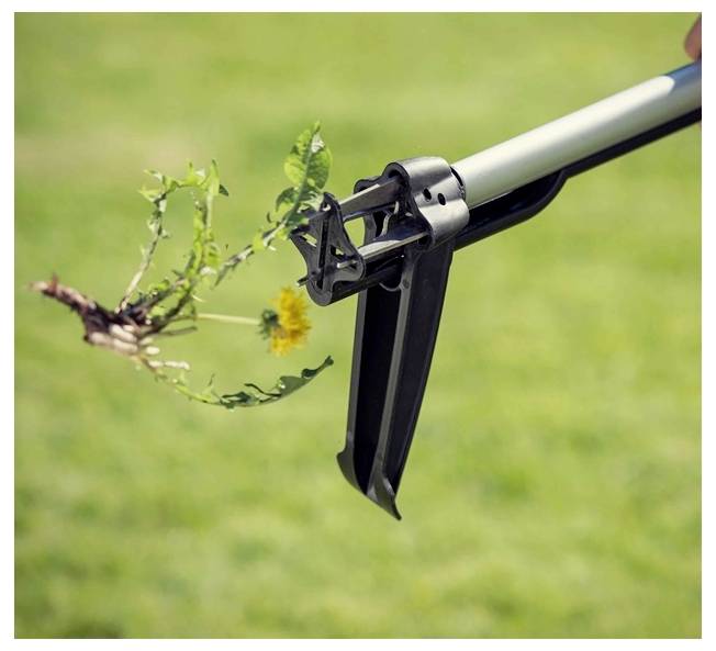 Un outil de préhension tient une mauvaise herbe avec ses racines et une fleur jaune sur un fond herbeux, illustrant son utilisation pour les tâches de jardinage.