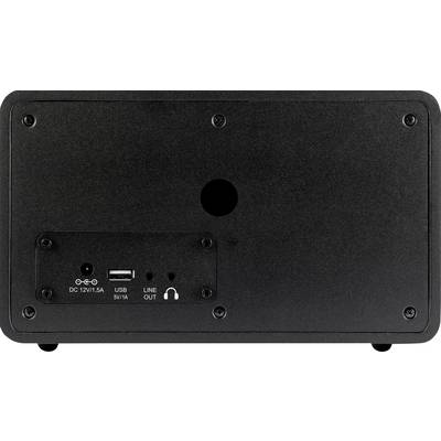 Arrière d'un appareil noir avec les connexions suivantes : DC 12V/1,5A, USB 5V/1A, Line-Out et prise casque.