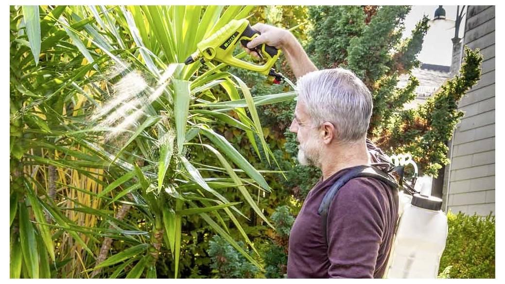 Une personne avec une barbe grise pulvérise des plantes avec un pulvérisateur de jardin portatif à l'extérieur. La lumière du soleil illumine le brouillard d'eau.