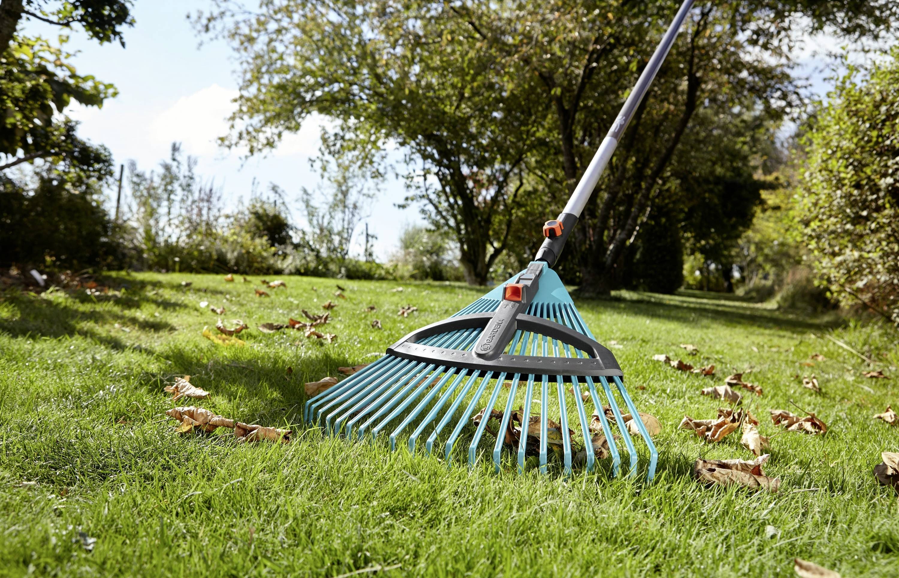 Un râteau enlève les feuilles d'une pelouse par une journée ensoleillée dans un jardin. Des arbres et un ciel bleu sont visibles en arrière-plan.