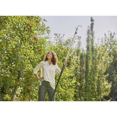 Une femme se tient dans un verger et utilise une longue perche pour cueillir des pommes dans un arbre. C'est une journée ensoleillée.