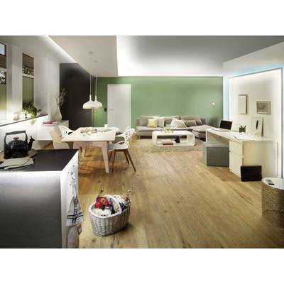 Grand salon moderne avec un sol en bois, un mur vert, une table à manger avec des chaises blanches, un canapé et un bureau. Aménagement lumineux et minimaliste.