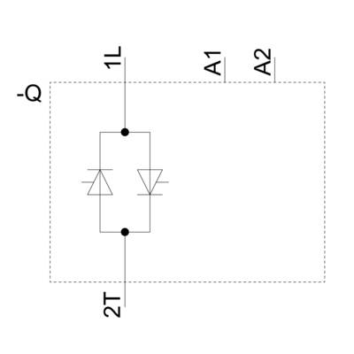 Le schéma de circuit montre deux diodes connectées en série à l'intérieur d'un cadre rectangulaire. Les bornes sont étiquetées 1L, 2T, A1 et A2.