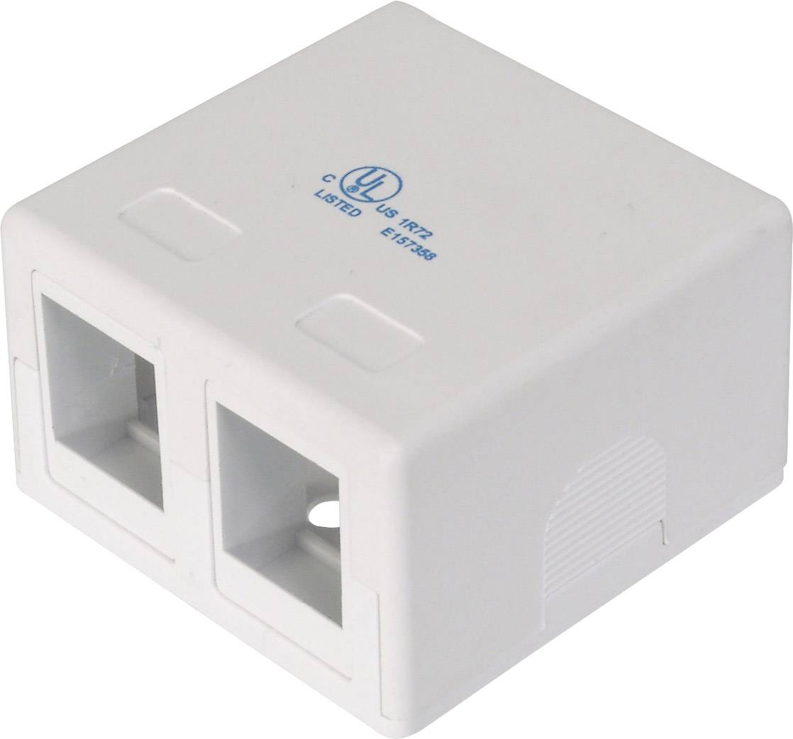 Adaptateur double de prise encastrable RJ45, blanc, avec deux ports Ethernet. Adapté aux connexions réseau dans les environnements de bureau.