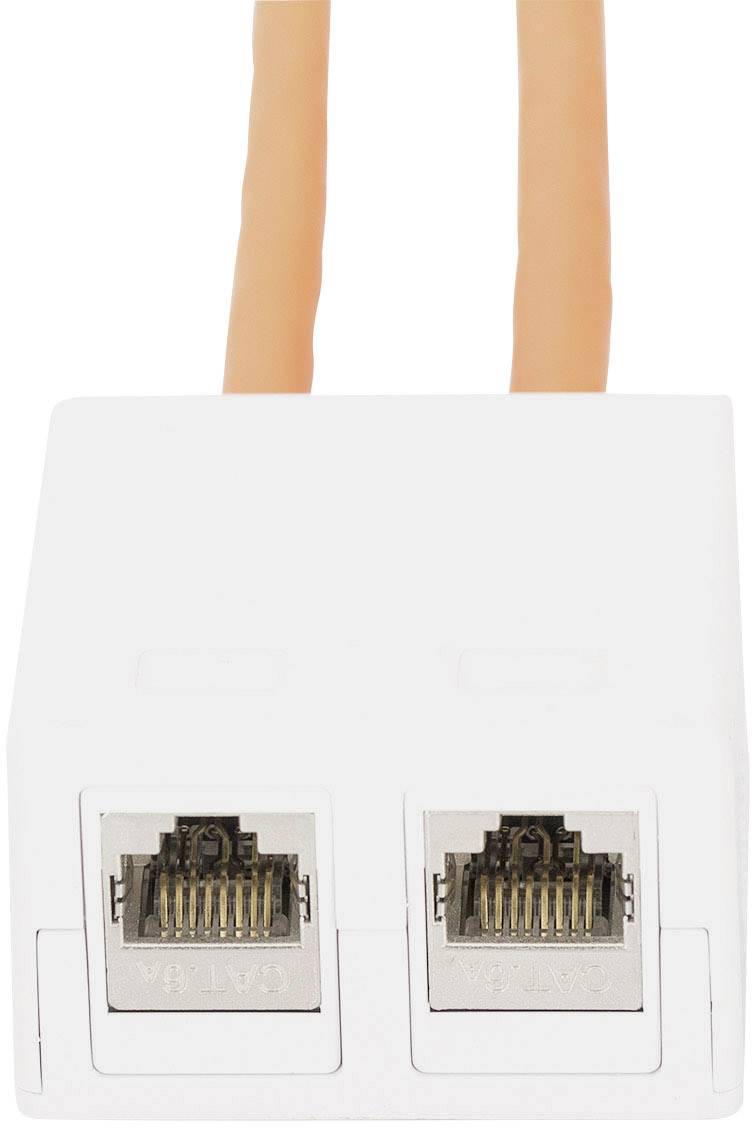 Une prise murale blanche avec deux ports Ethernet et deux câbles orange y étant connectés.
