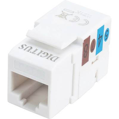 Un connecteur (keystone) réseau blanc étiqueté « DIGITUS » avec des ports pour câbles Ethernet, comportant des autocollants portant les mentions « 5e », « 40 » et « 8 ».
