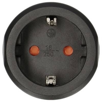 Gros plan d'une prise électrique ronde noire avec deux trous de broche orange et un symbole de mise à la terre, portant l'étiquette 16/250.