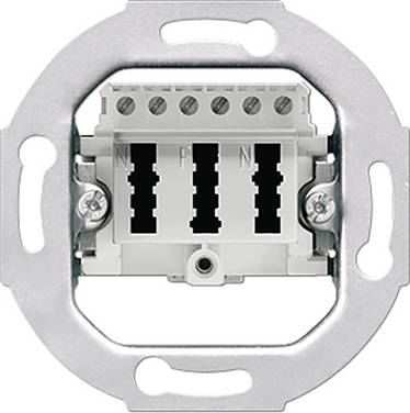 Jung  Insert Prise TAE LS 990, AS 500, CD 500, LS design, LS plus, FD design, A 500, A plus, A creation, CD plus, SL 500 blanc TAE3X6NFNUPO 1 pc(s)