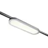Luminaire sur rail haute tension Paulmann Panel Loop URail LED intégrée 7 W LED chrome (mat), chrome