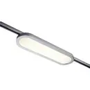 Luminaire sur rail haute tension Paulmann Panel Loop URail LED intégrée 7 W LED chrome (mat), chrome
