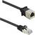 Un câble réseau noir avec une fiche RJ45 et un connecteur.