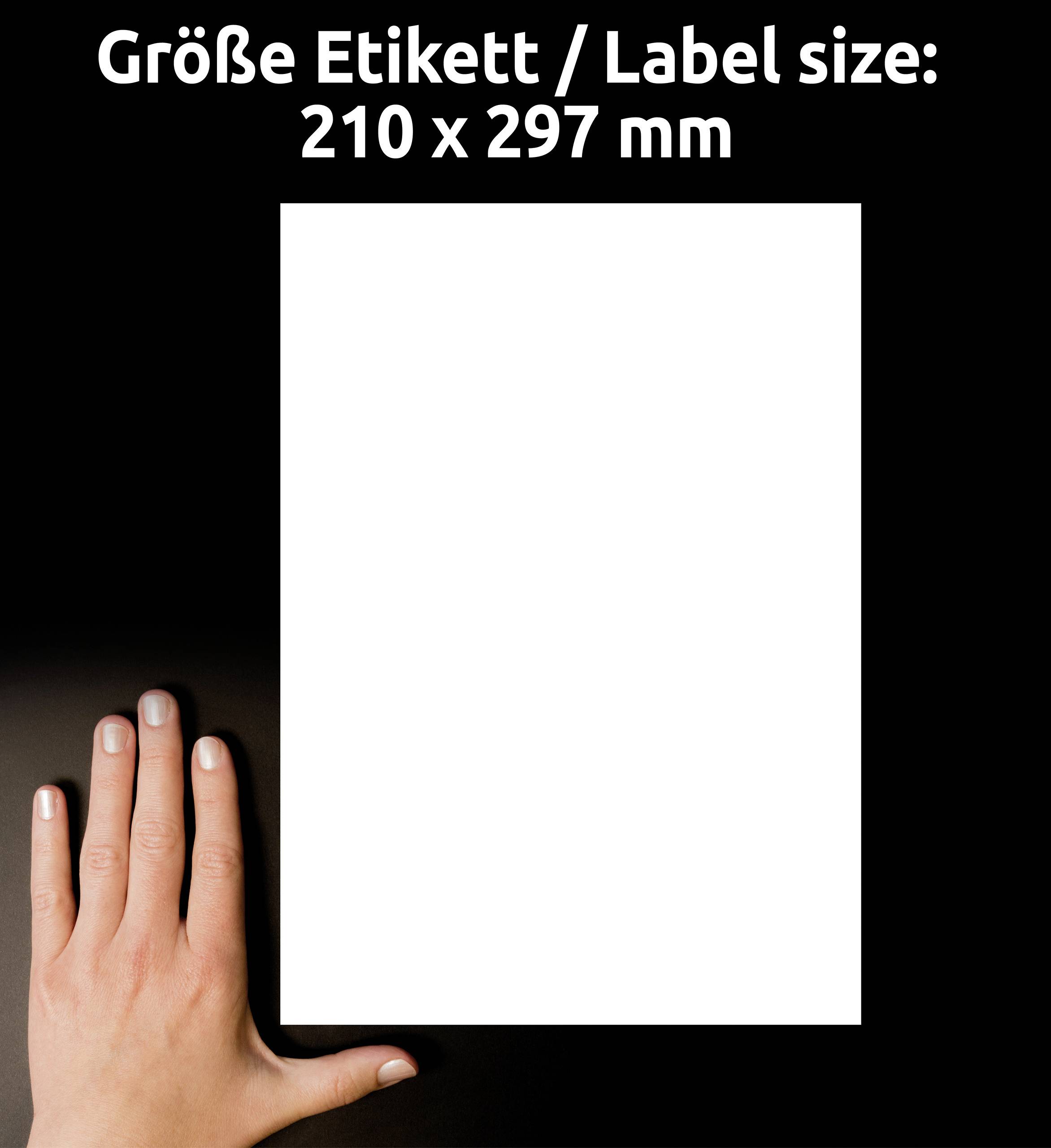 Une main pointe vers une étiquette blanche au format DIN A4, en haut de laquelle est inscrit « Größe Etikett / Label size: 210 x 297 mm ».