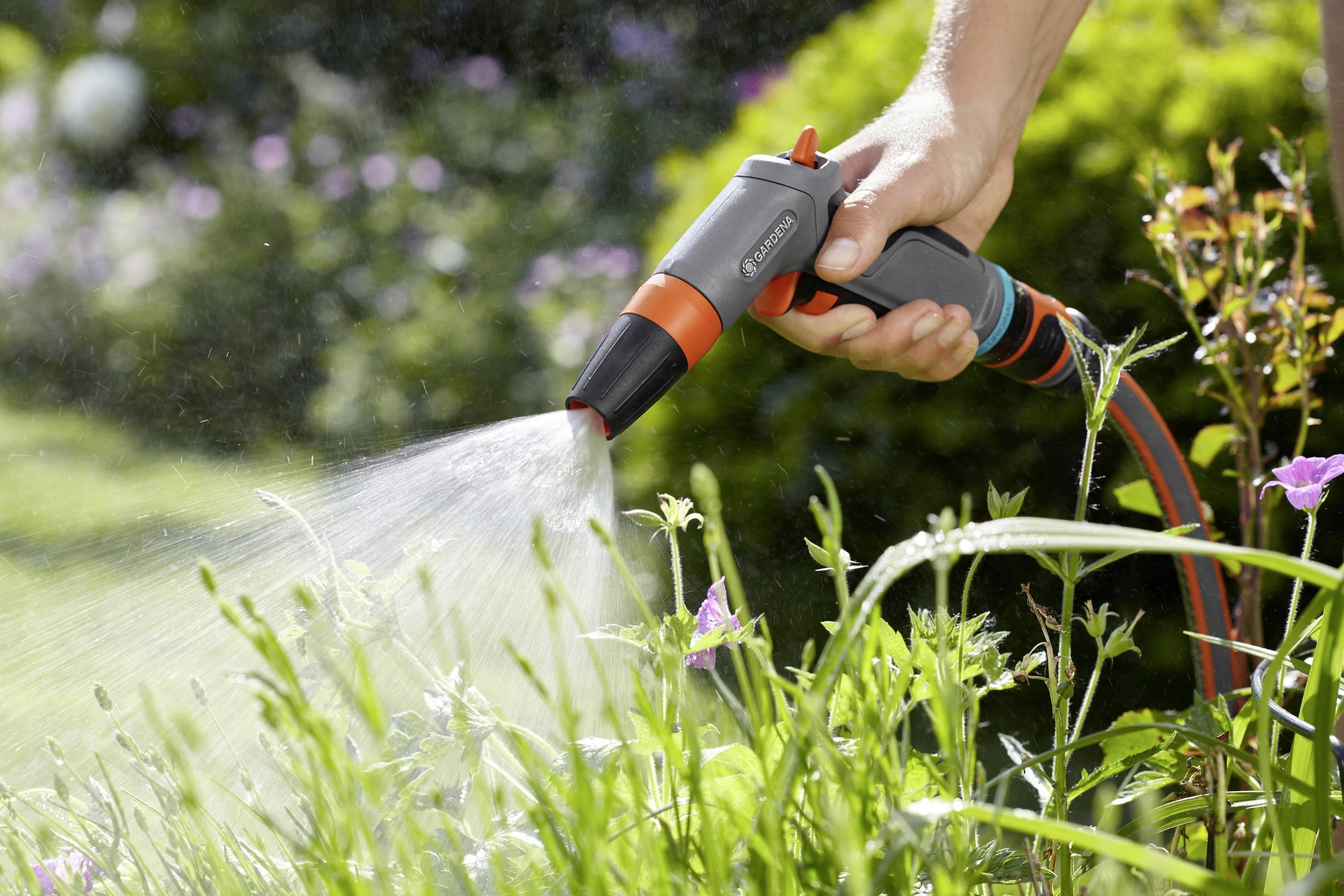 Une main tient un arrosoir qui répand de l'eau sur des plantes en fleurs dans un jardin. L'environnement est verdoyant et plein de vie.
