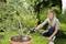 Une femme arrose un arbre dans un grand pot de fleurs dans le jardin. L'arbre a des feuilles vertes et se trouve sur une pelouse verte.