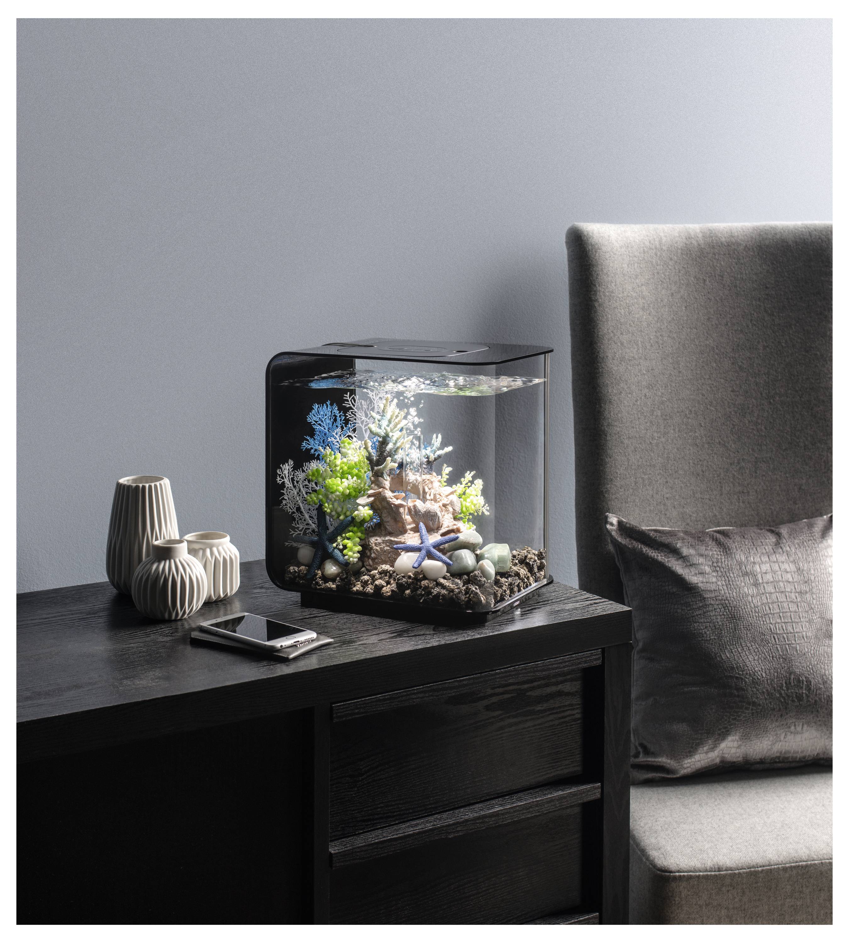 Un petit aquarium avec des plantes colorées et une étoile de mer est posé sur un bureau en bois foncé, à côté de vases décoratifs et d'un smartphone.