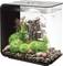 Un petit aquarium avec des plantes colorées, des rochers et une structure décorative centrale ressemblant à une cascade ; plusieurs petits poissons nagent à proximité.