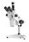 Un microscope de laboratoire à deux oculaires avec support réglable, adapté aux examens scientifiques précis.