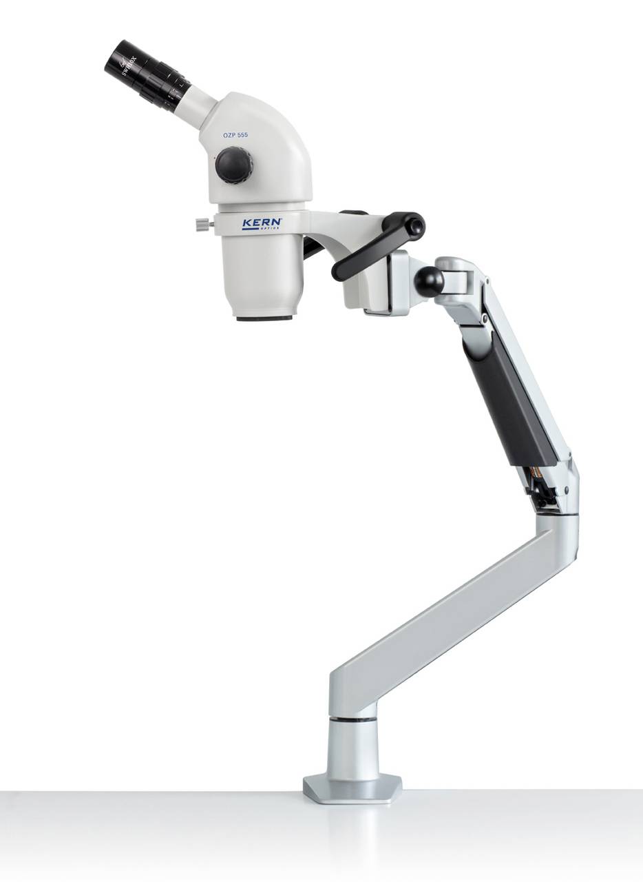 Microscope avec bras ajustable et oculaires, adapté aux expériences de laboratoire précises.