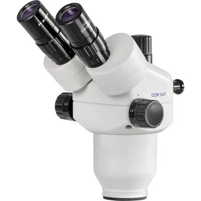 Microscope stéréoscopique blanc à deux canaux avec bouton de commande noir ; adapté pour des observations scientifiques détaillées.