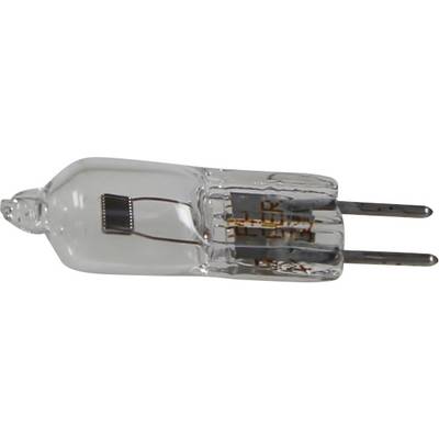 Petite lampe halogène G4 à deux broches, boîtier en verre transparent, filament visible à l'intérieur, adaptée pour l'éclairage d'accentuation.