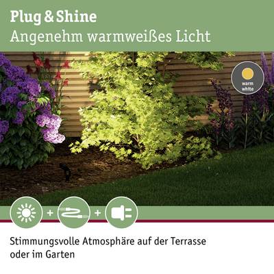 Panneau 'Plug & Shine' éclaire une terrasse avec des plantes, offrant une lumière d'ambiance blanc chaud pour le jardin ou la terrasse.