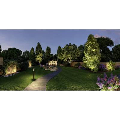 Jardin illuminé avec un chemin sinueux, des pelouses et des arbres mis en valeur par une lumière douce.