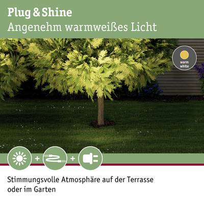 'Plug & Shine : Lumière blanc chaud agréable. Ambiance intimiste sur la terrasse ou dans le jardin.' Arbre avec éclairage blanc chaud.