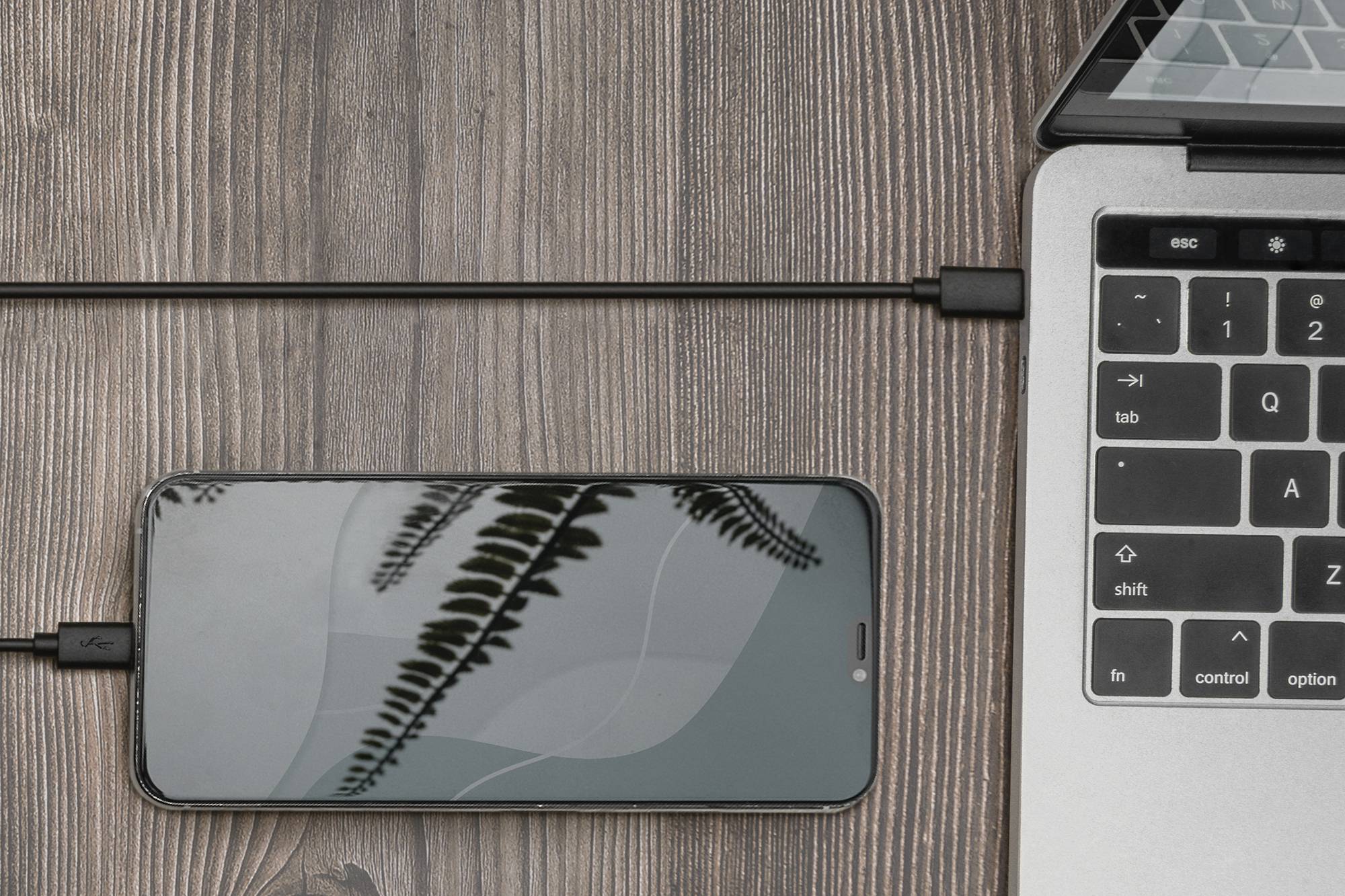 Smartphone et ordinateur portable sur une table en bois, reliés par un câble USB. Ombre de feuilles de fougère sur l'écran du smartphone.