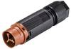 Wieland Electric 46.032.4551.4 Cosse cylindrique mâle mâle, droit Nombre total de pôles: 2 Série (connecteur rond): RST® MINI 1 pc(s)