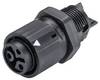 Cosse cylindrique mâle Wieland Electric 46.031.5053.1 embase femelle Nombre total de pôles: 2 + PE Série (connecteur rond): RST® MINI 1 pc(s)