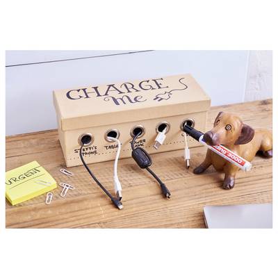 Boîte « Charge-moi » faite maison chargeant plusieurs appareils avec des câbles branchés dans des ports étiquetés, à côté d'un chien jouet tenant un marqueur.