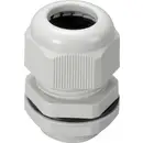 N/A TRU COMPONENTS TC-AGR20GY4203 1593313 M20 Polyamide gris clair (RAL 7035) 1 pc(s)